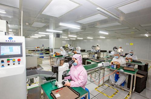 奮進在春光里 電子信息產業滿園春色，信息技術咨詢服務賦能向海圖強